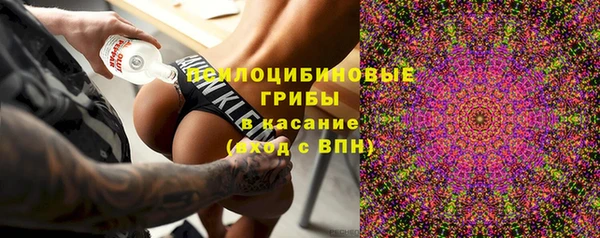 эйфоретик Нефтекумск