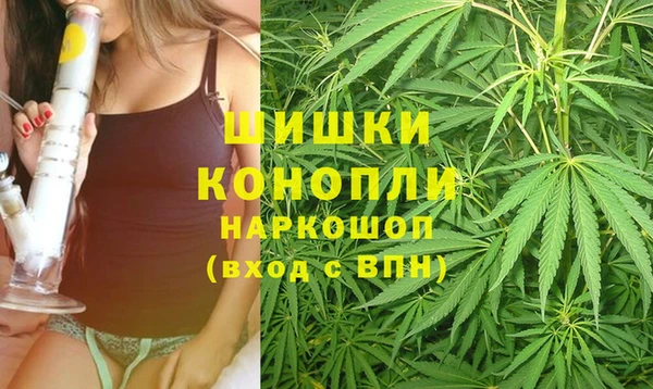 прущая мука Богданович