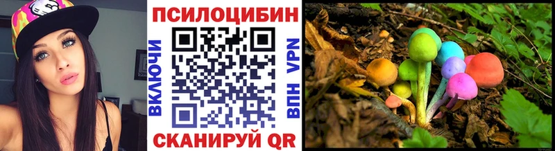 Галлюциногенные грибы Cubensis  Нестеровская 